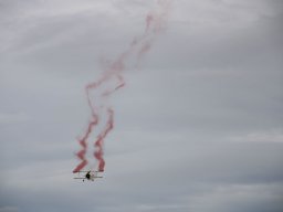 rodenberg2025 66